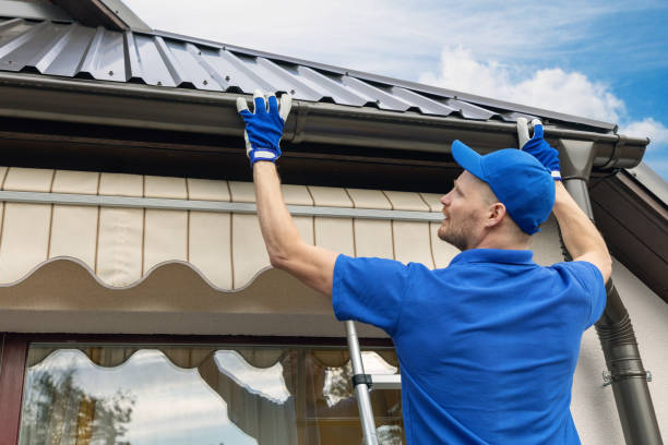 Gutter Cleaning